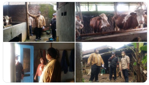 Survei Pendahuluan Biogas 2022