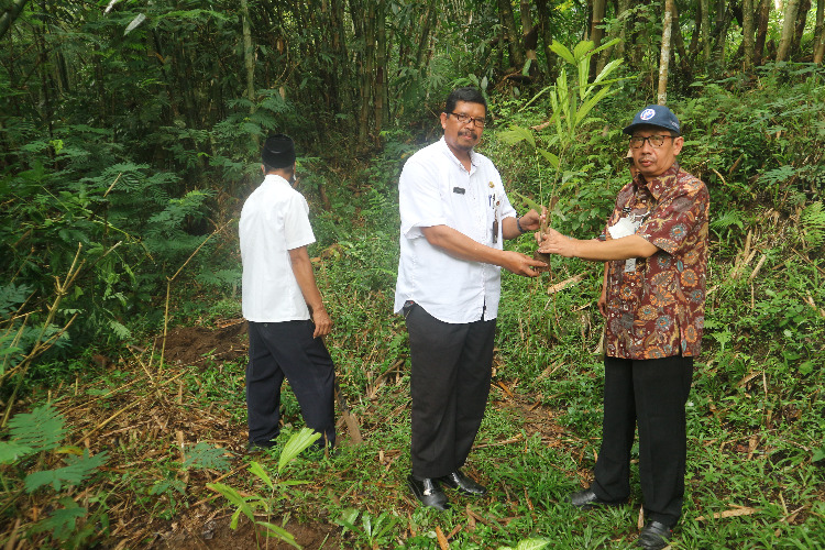 Penanaman Pohon dalam Rangka Peringatan Hari Bumi di Desa Pesidi